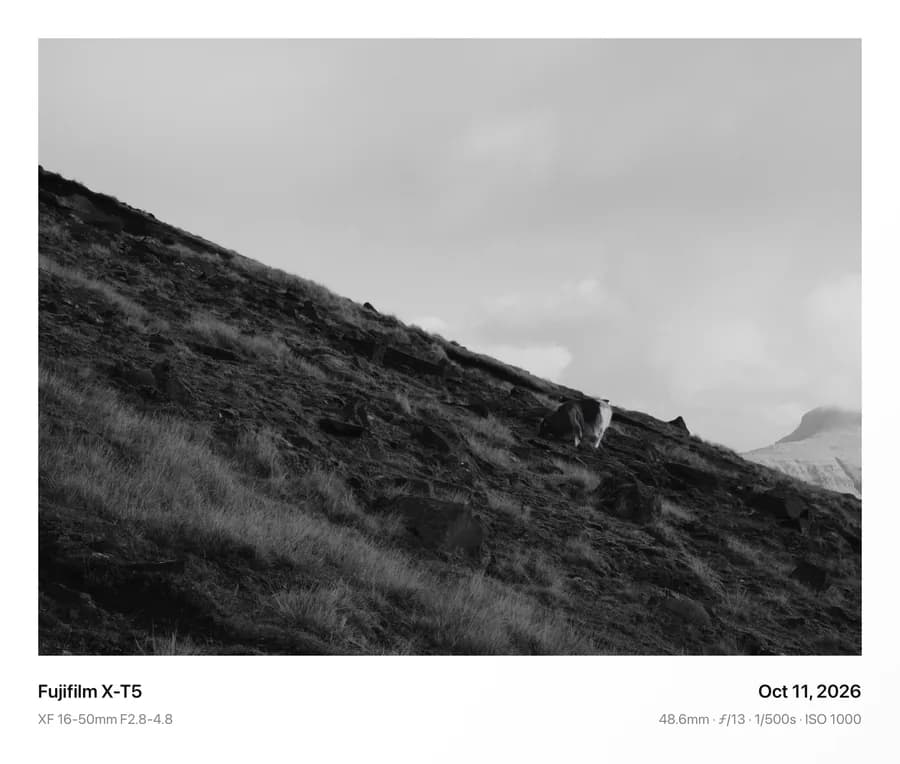 A grassy mountain slope in black and white, framed in Classic